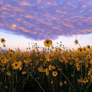 美女捆绑调教爆操
