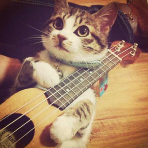 美女捆绑调教爆操
